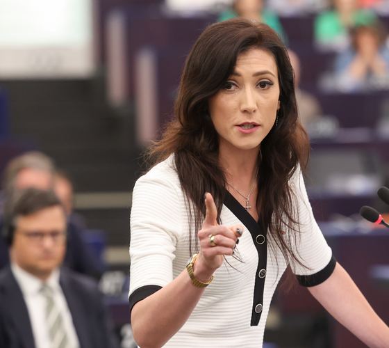 Ewa Zajączkowska-Hernik w Parlamencie Europejskim