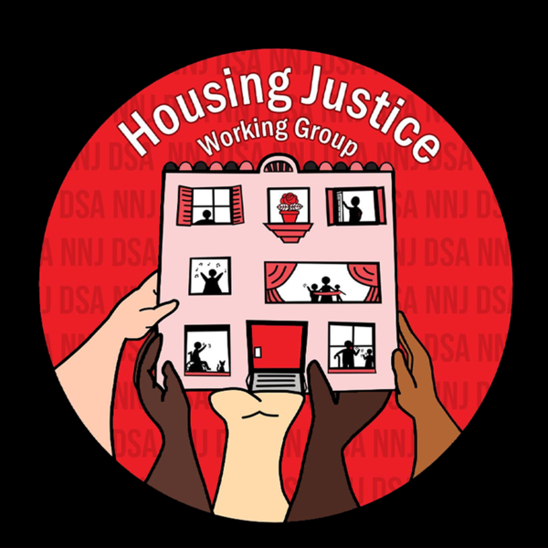 NNJ DSA logo