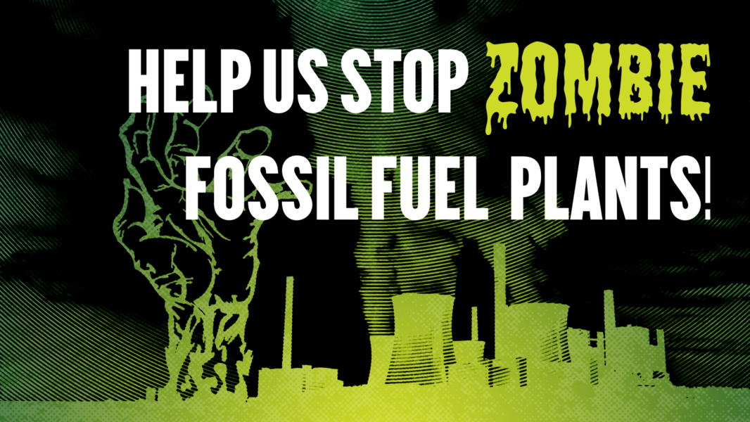 STOP Zombie Peaker Plant Image