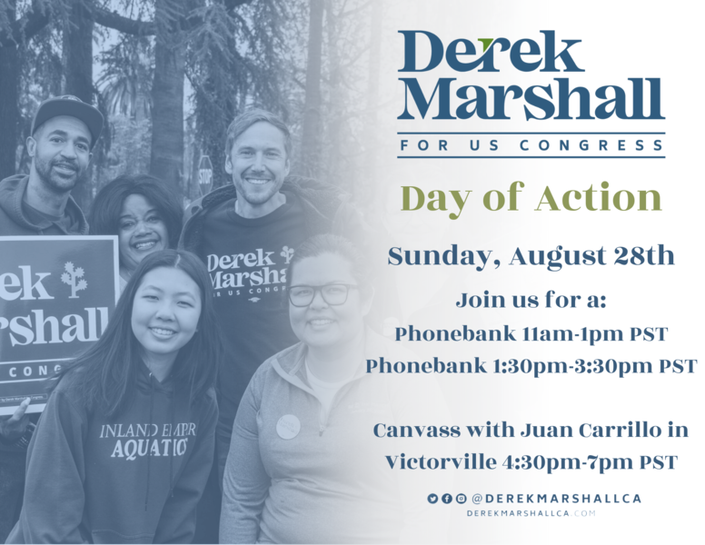 Day of Action Graphic