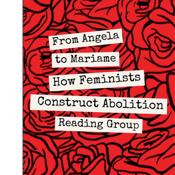 from mariame to angela banner, monospaced text over a rose background