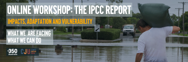 Online Workshop: the IPCC Report, impacts, adaptation and vulnerability, what we are facing, and what we can do