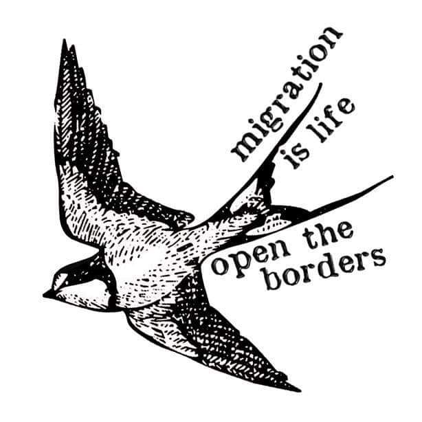 Image of a bird with the text 'Migration isLife'
