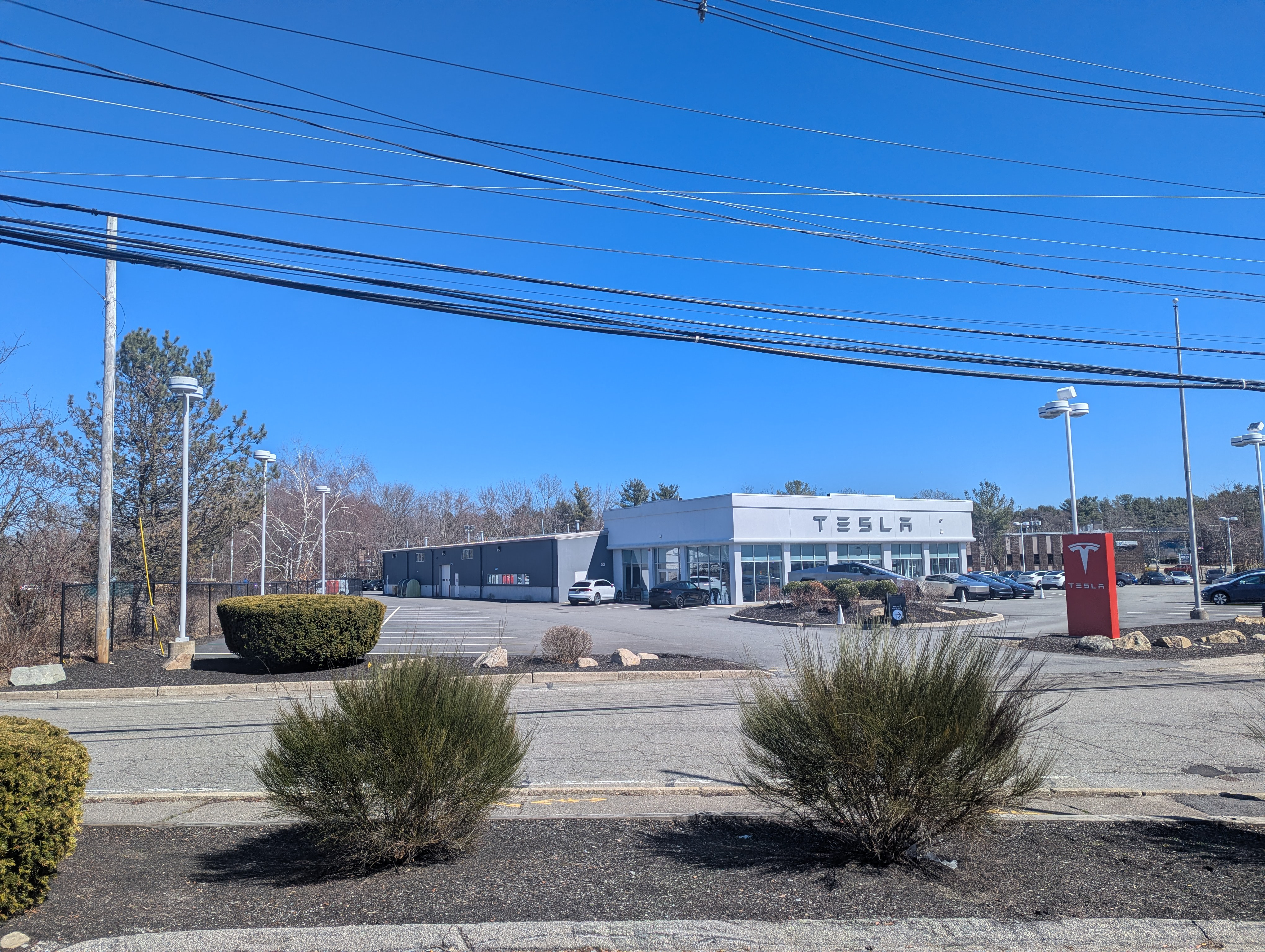 view of a Tesla showroom from across the roadway