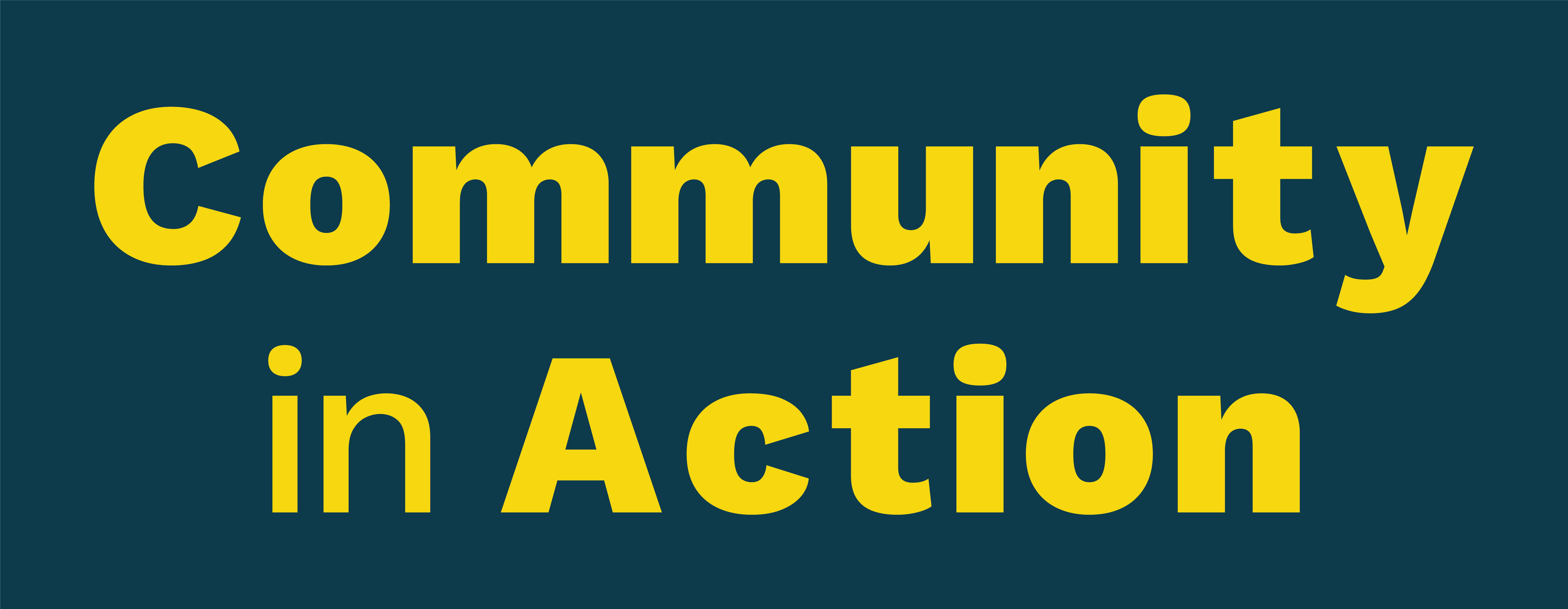 Community in Action banner