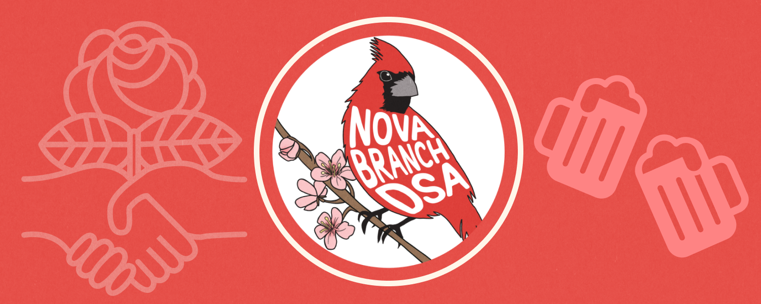 Nova DSA cardinal (bird) logo