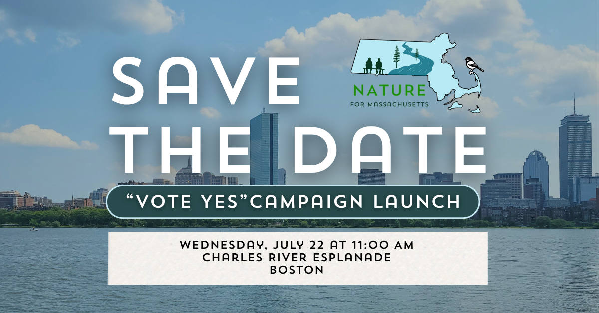 Save the Date Campaign Launch
