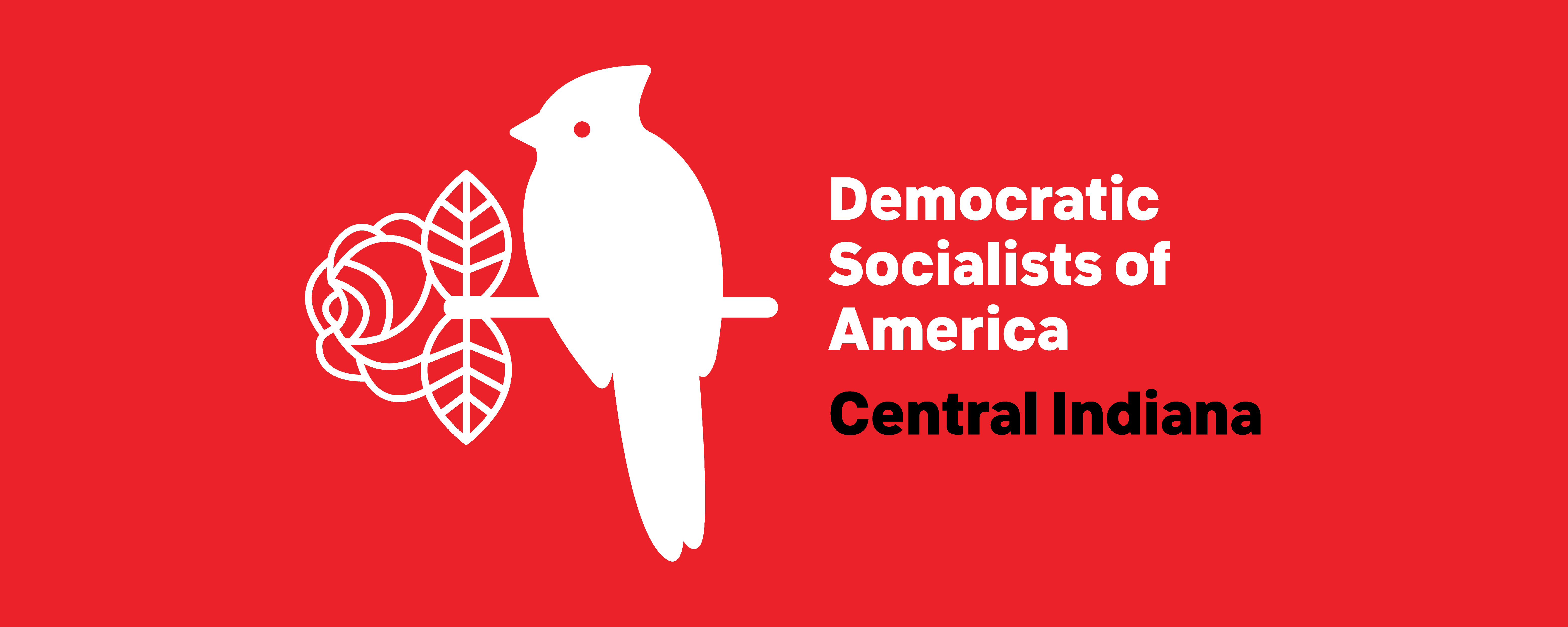 Central Indiana Democratic Socialists of America banner image
