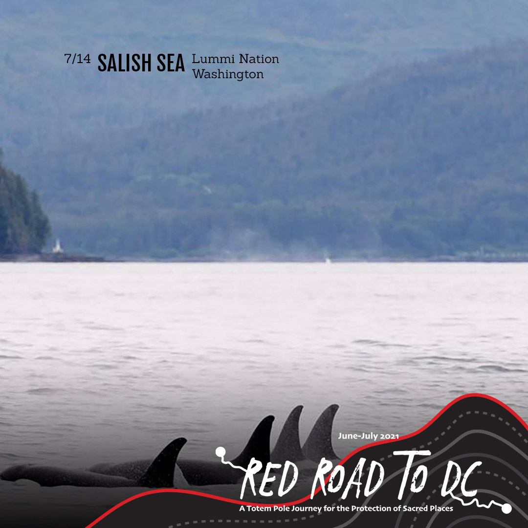 Salish Sea