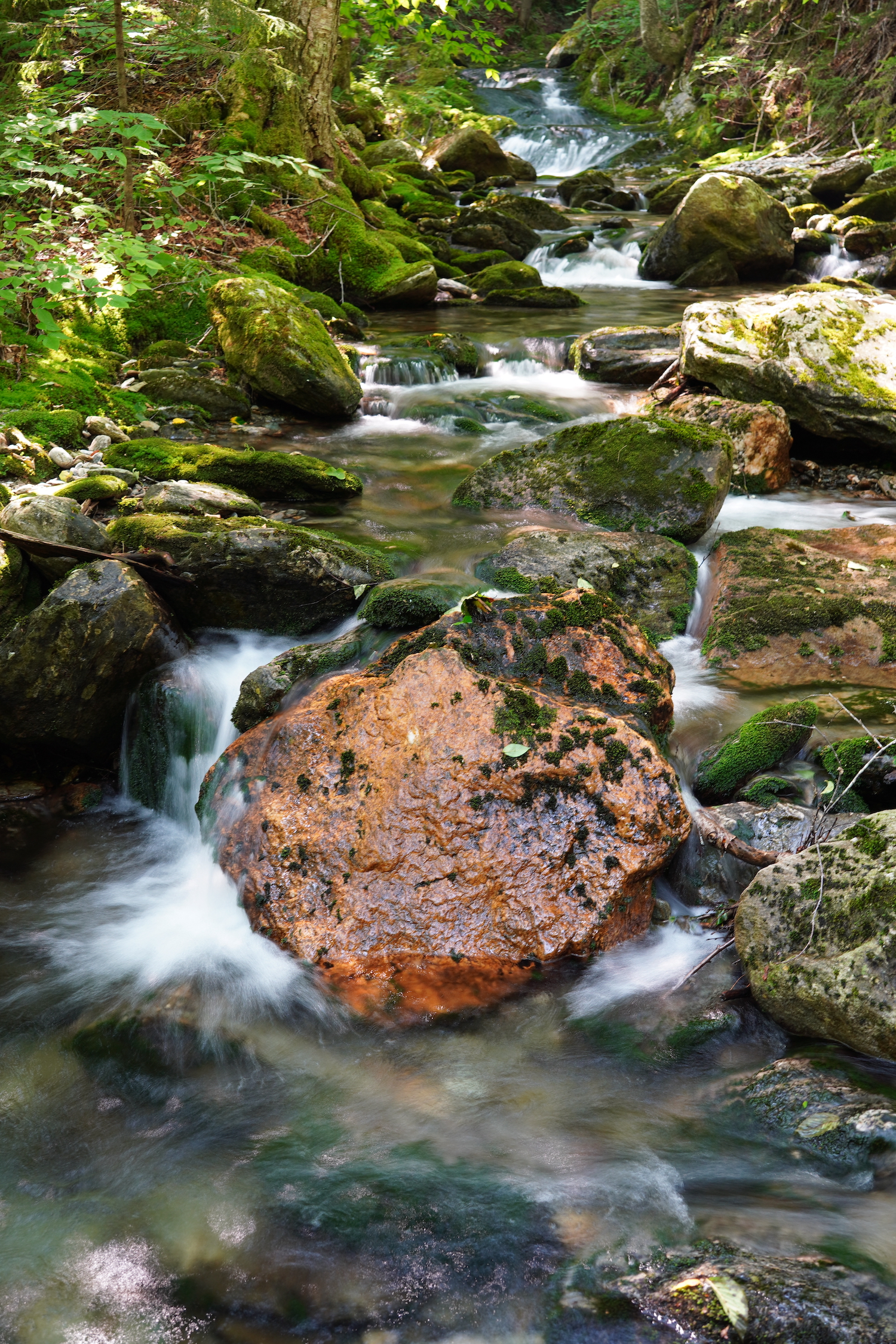 A stream cascades down moss-covered rocks in a forest.