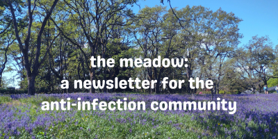 a photograph of a field of purple camas with the text, 'the meadow: a newsletter for the anti-infection community' in white
