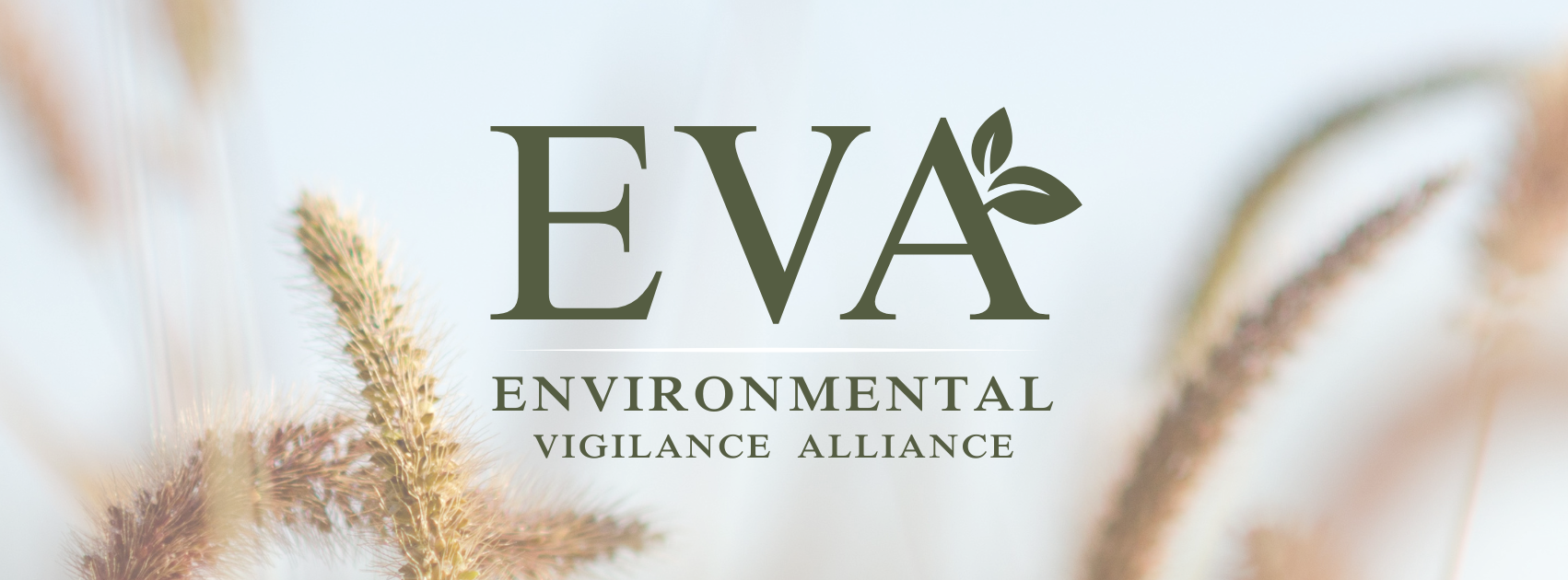 Environmental Vigilance Alliance logo over a photograph of prairie grasses.