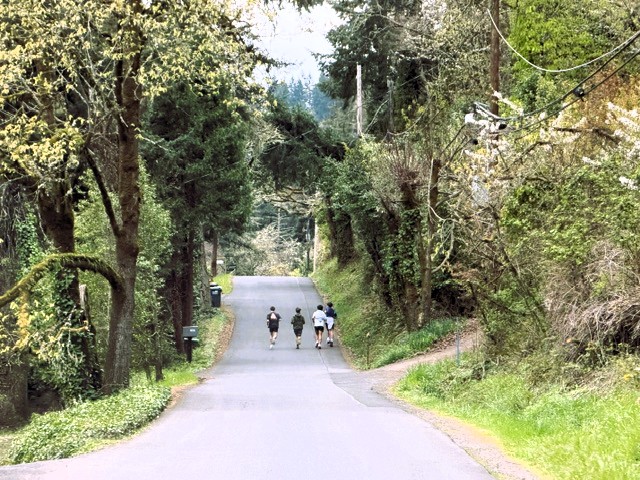 Four youth walking down the middle of Floral Hill Drive right about where the new 22 building development, with 100 cars entering at this point on the street.