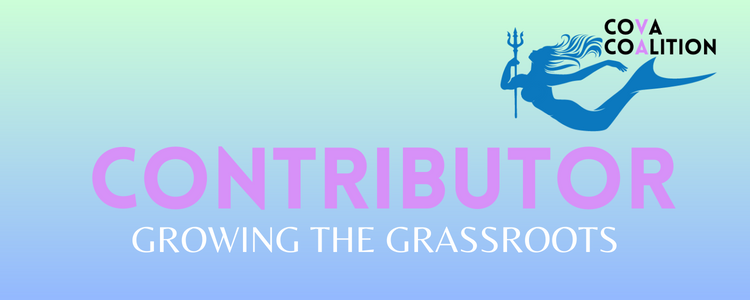 Be a Contributor