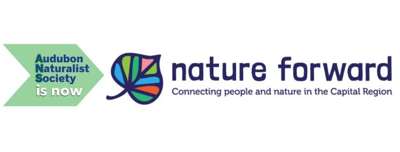 Nature Forward, formerly Audubon Naturalist Society. Connecting people and nature in the Capital region.