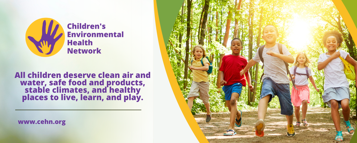 Children smiling and running along a path in the woods in the sunlight. The Children's Environmental Health Network logo. The website address: www.cehn.org. The tagline: All children deserve clean air and water, safe food and products, stable climates, and healthy places to live, learn, and play.