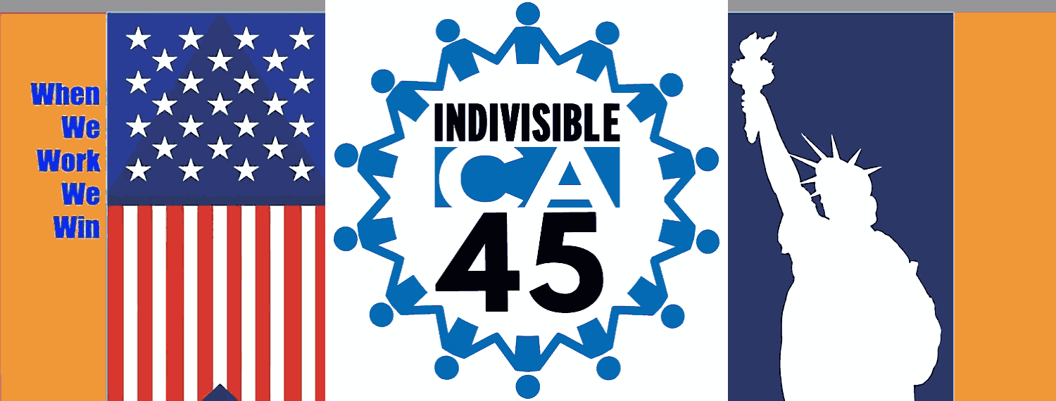 Indivisible CA 45