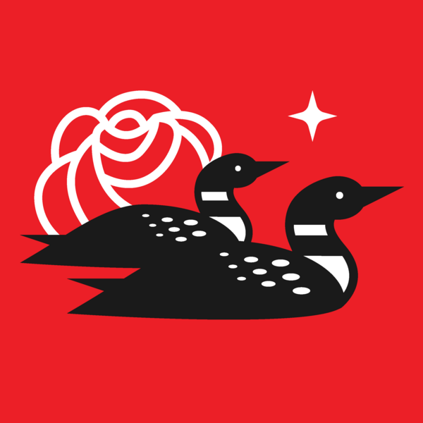 Twin Cities DSA Loon Logo