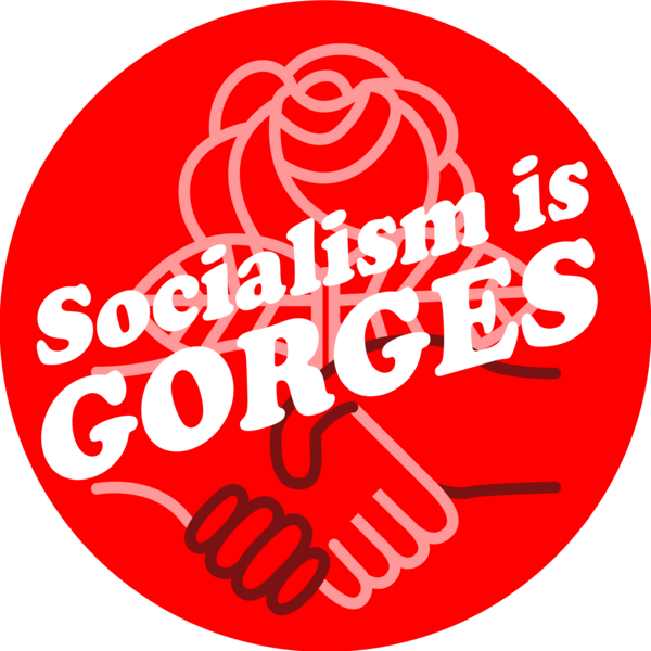 The white and red logo of the Ithaca Democratic Socialists of America