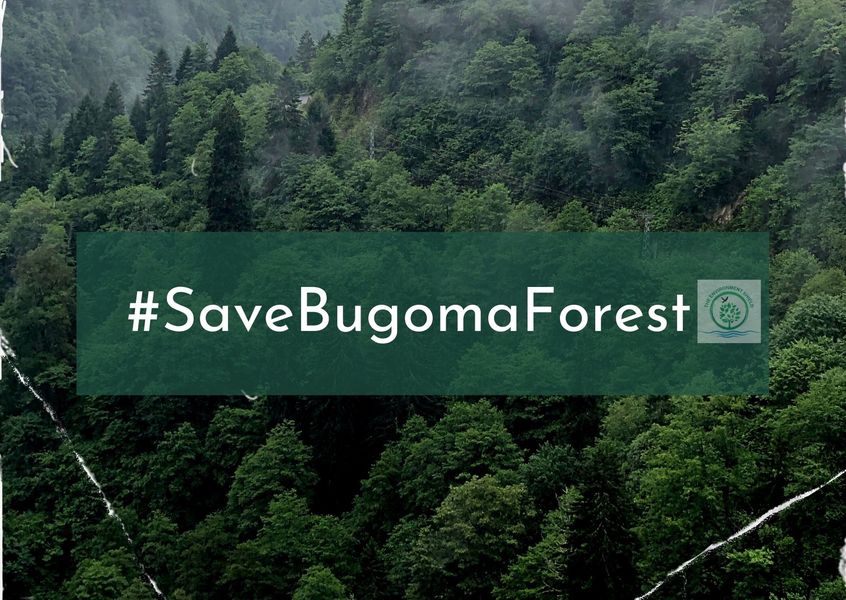 Save Bugoma Forest