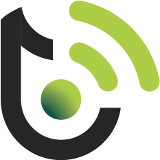 Mesh Boston Logo