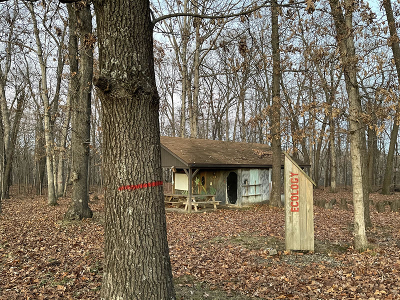 The image show a picture of a oak tree in the foreground, which has been marked with red spray paint to be cut. In the background is a sign that says "Ecology" and the pavilion where 'Environmental Science Merit Badge' is taught to scouts. In the back the