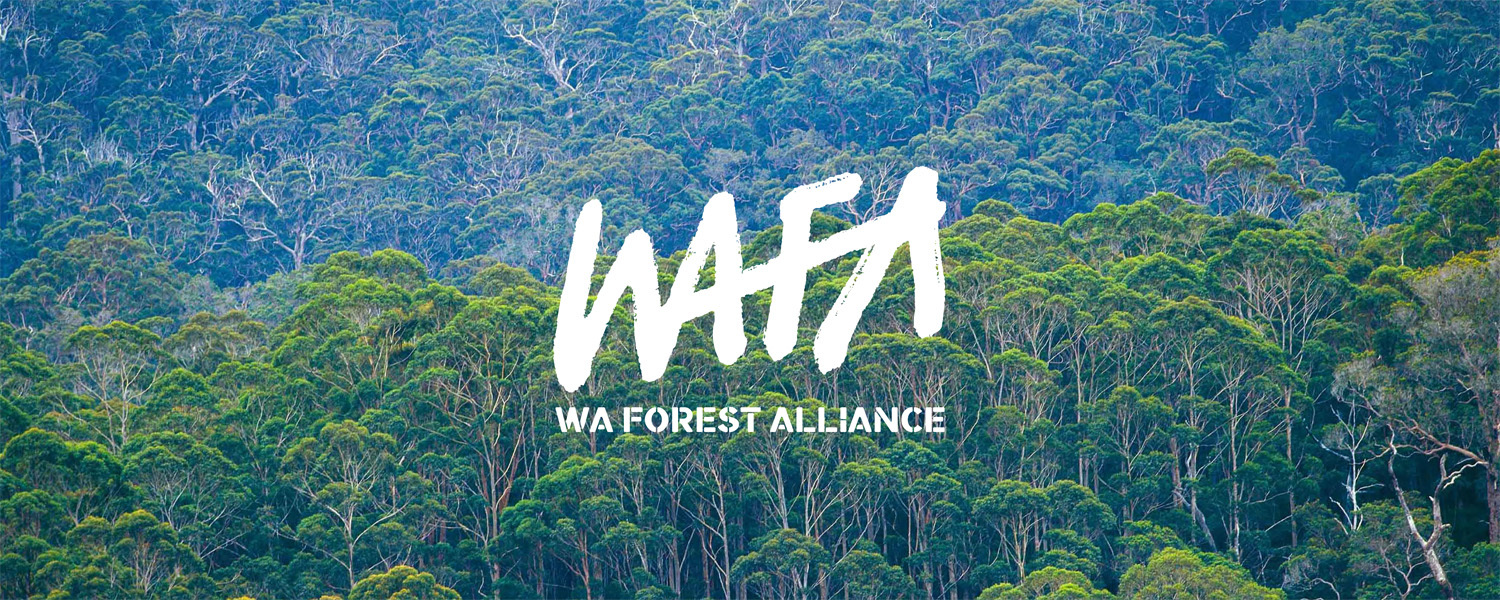 White text in centre of image of forest reads WAFA WA Forest Alliance