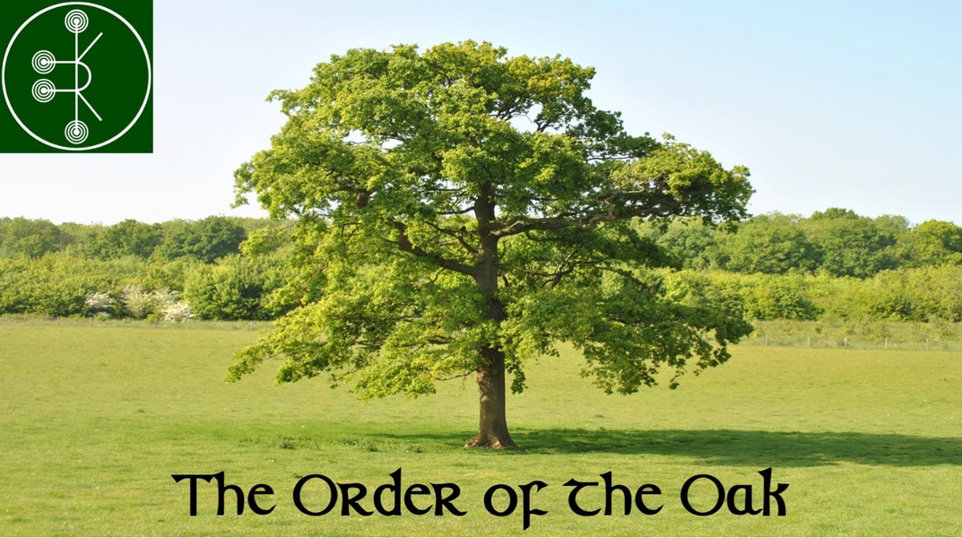 The Oak and our Sigil