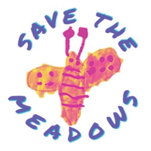 Hand-painted bee with SAVE THE MEADOWS lettering around it