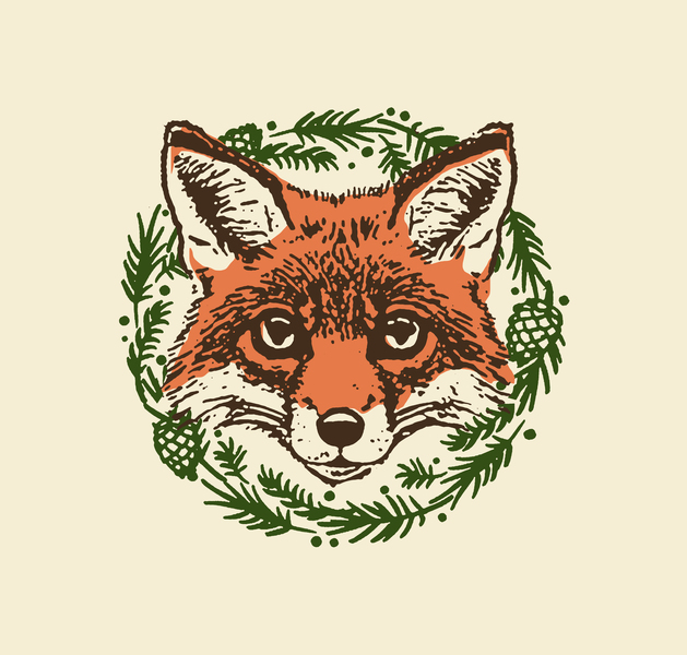 image of fox