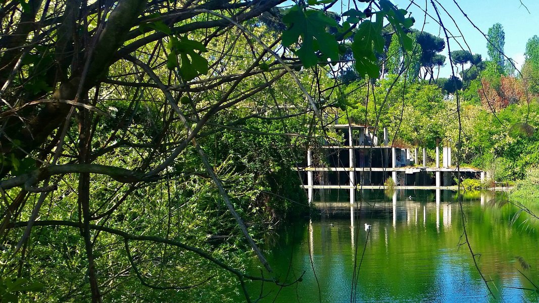 Fra le fronde di fico si scorge uno scheletro di cemento armato, immerso nel verde, che si riflette sulle acque smeraldo del Lago dell'Acqua Bullicante