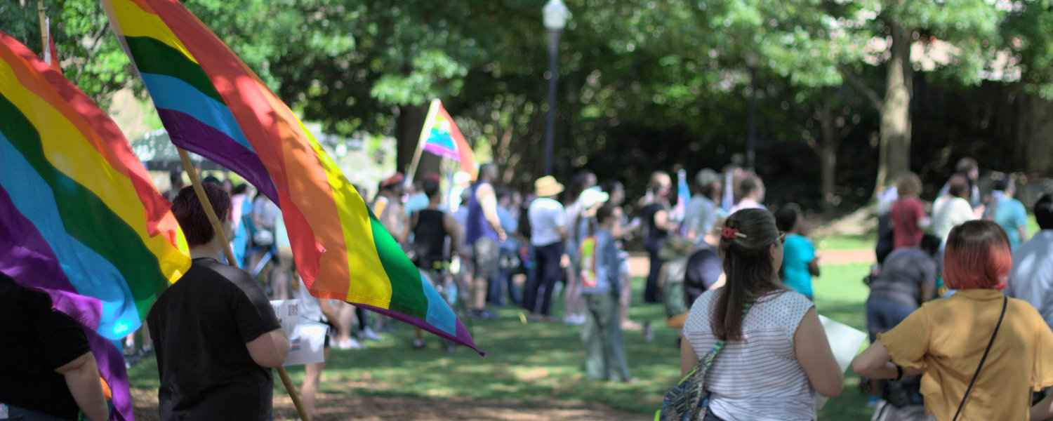 People holding queer pride flags attending an rally for trans rights in a city park