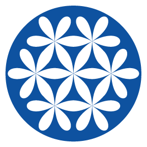 Citizen Network Logo
