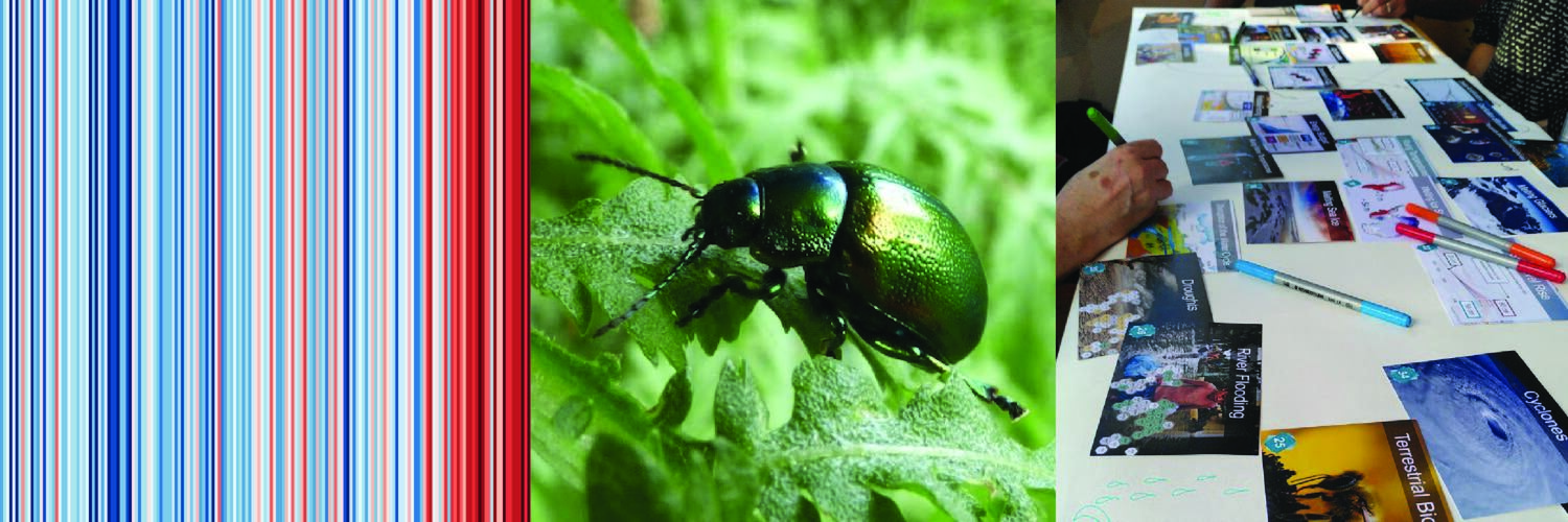 Climate Warming Strips, a bright green Tansy Beetle, and a community workshop