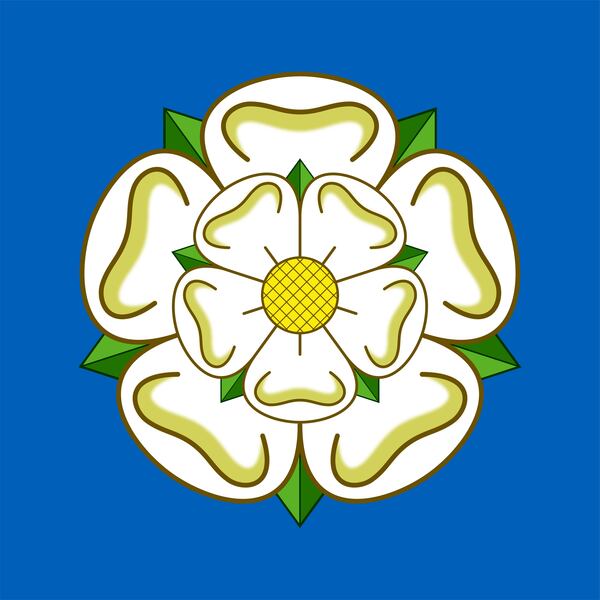 White Rose of Yorkshire on blue background