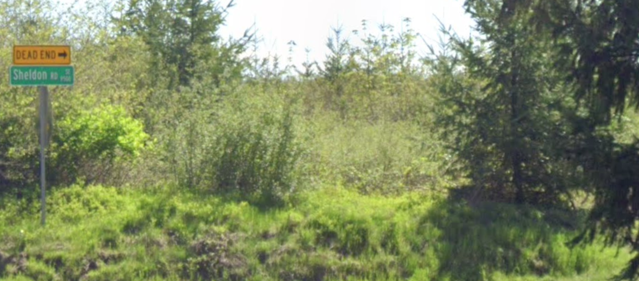 Rural Bar Holdings Parcel on Sheldon Road south of the Olympia Airport