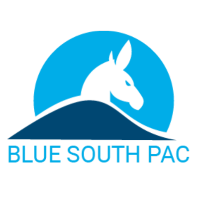 BlueSouth