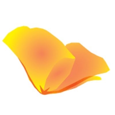 California Poppy