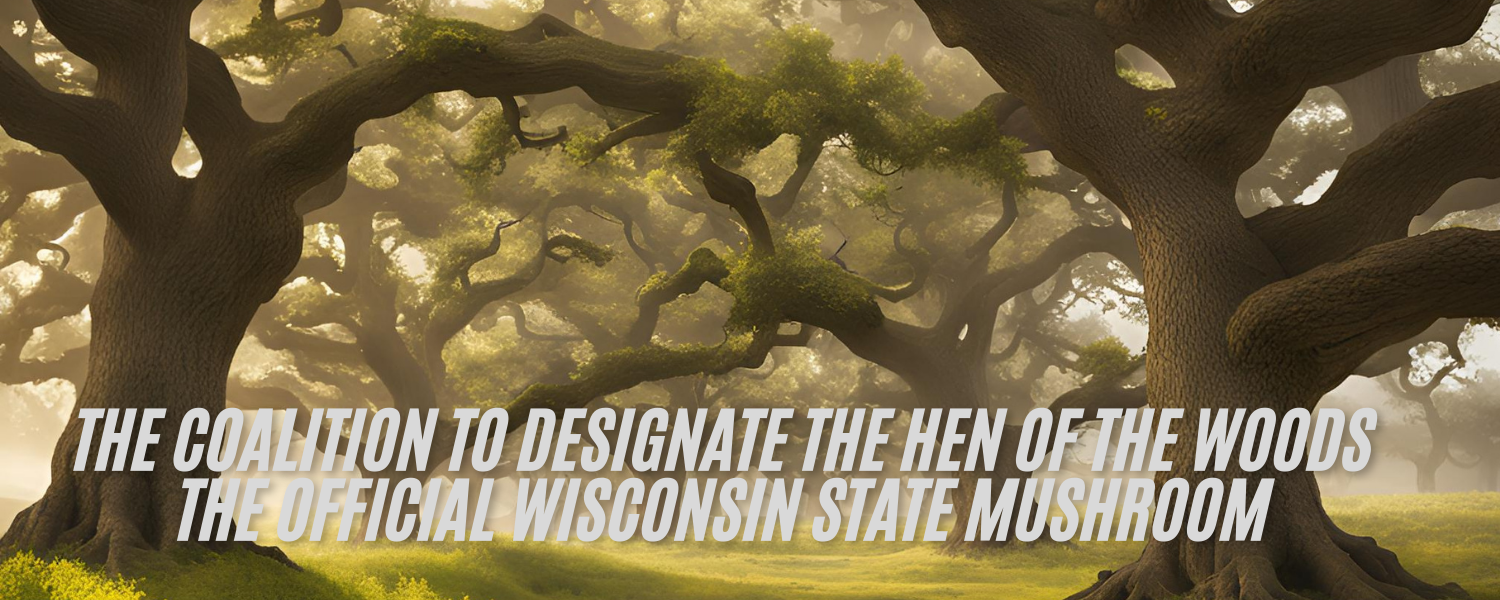coalition mushroom project header picture