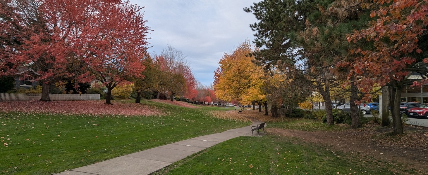 Photo of Columbia City park in glorious fall colors