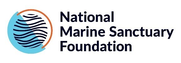 Our mark is built from three distinct shapes that represent three pillars of the National  Marine Sanctuary Foundation: the half circle,  representing discovery, the wave pattern,  representing exploration, and the arc,  representing our protection efforts. These  three shapes come together and overlap to form a united mark, illustrating the power of  connection and the holistic approach of the  National Marine Sanctuary Foundation.