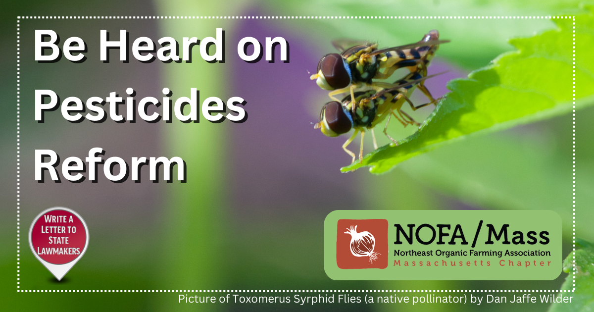 Be(e) heard on pesticides!