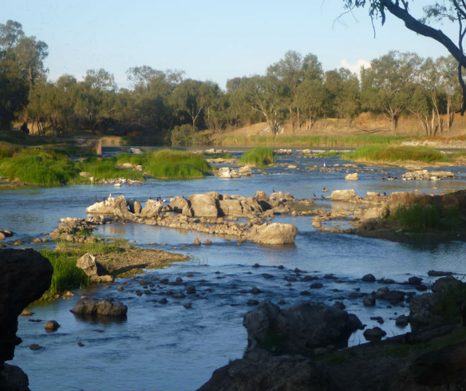 Ngemba sacred fish traps