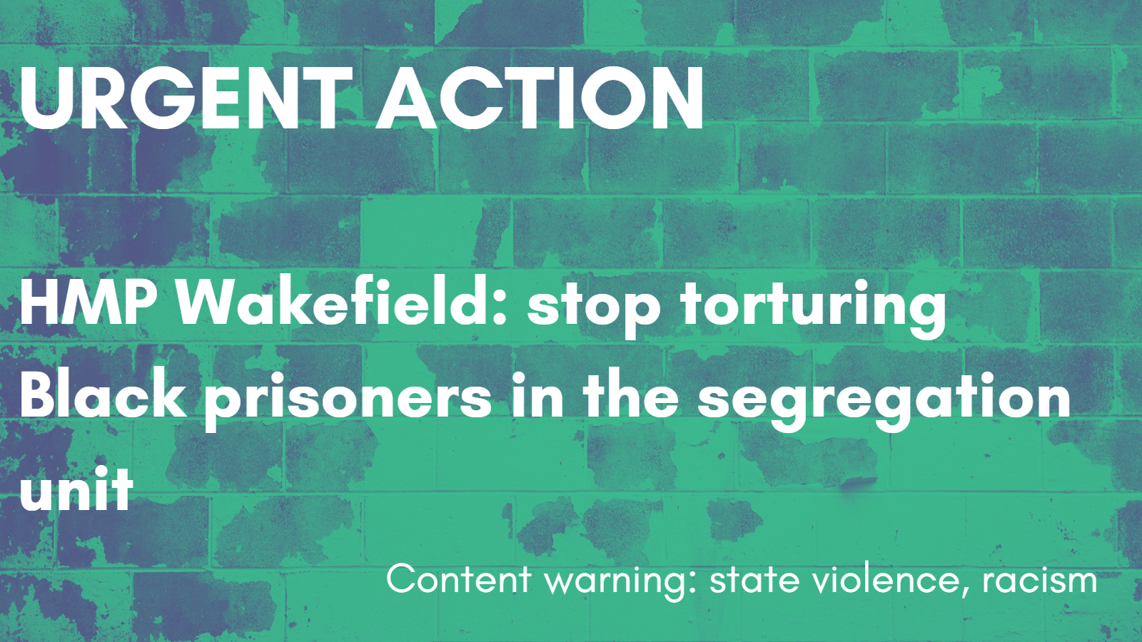 Banner has a green background with a brick wall texture. Text in a white font says: URGENT ACTION: HMP Wakefield stop torturing Black prisoners in the segregation unit. Content Warning: state violence, racist violence