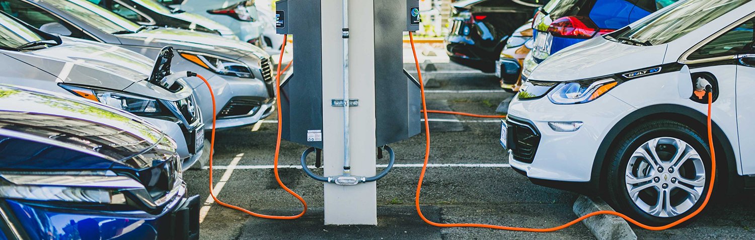 Two rows of EVs charge in a parking lot