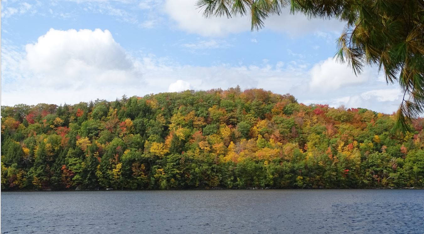 Silver Lake