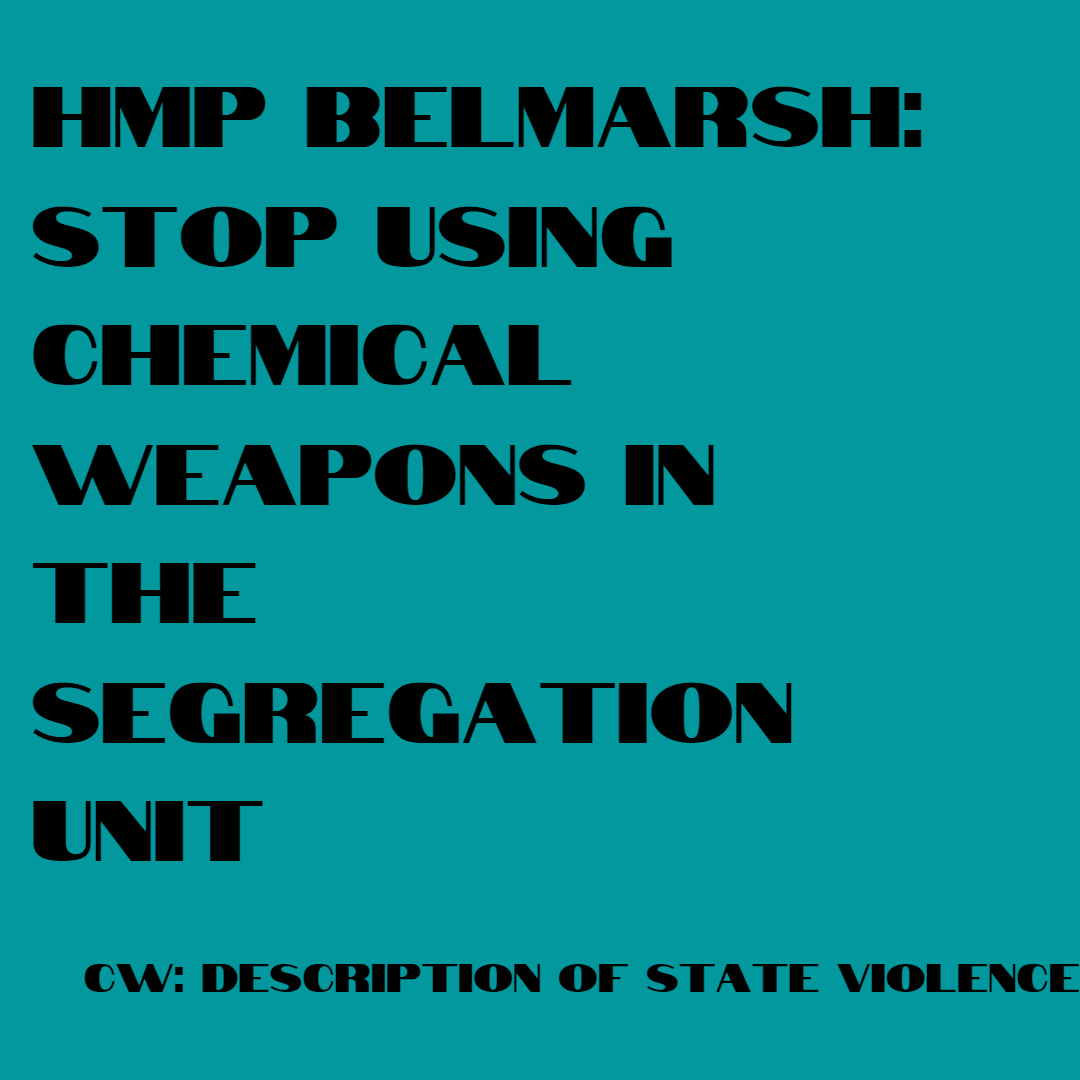 Image has teal background. Text in a bold black font reads: HMP Belmarsh: stop using chemical weapons in the segregation unit. Content Warning: description of state violence