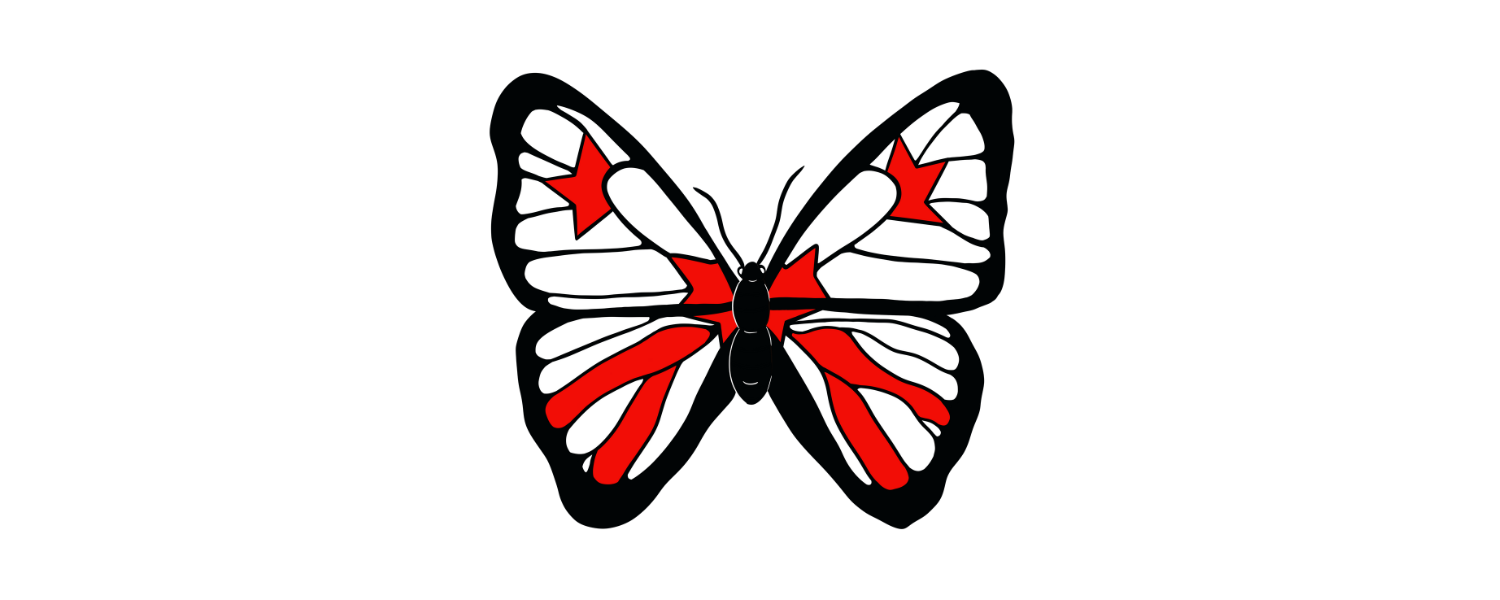 Butterfly in DC flag colors