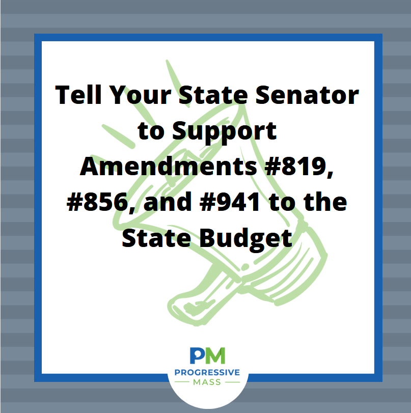 Tell your state senators to support budget amendments #819, #856, and #941