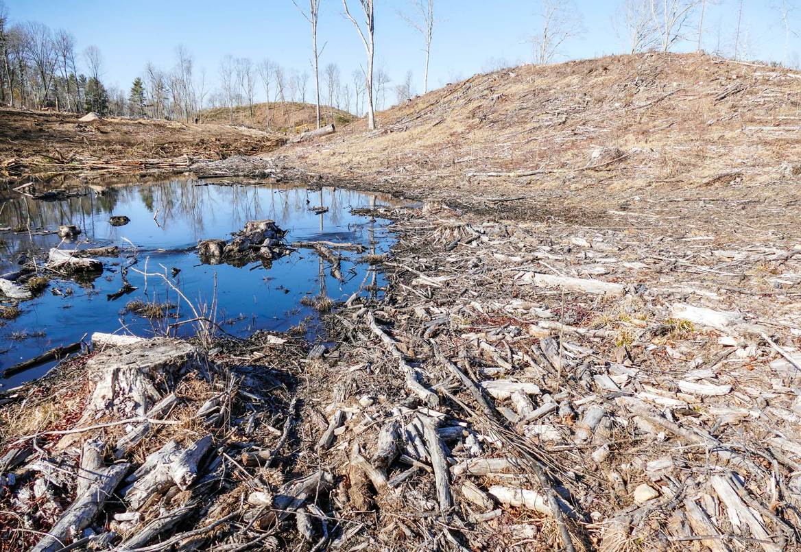Clearcut landscape in Muddy Brook Wildlife Management Area (March 2020) Labeled “Restoration”